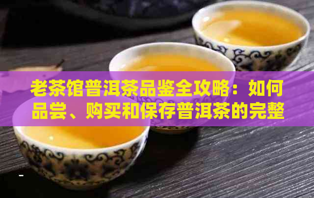 老茶馆普洱茶品鉴全攻略：如何品尝、购买和保存普洱茶的完整指南