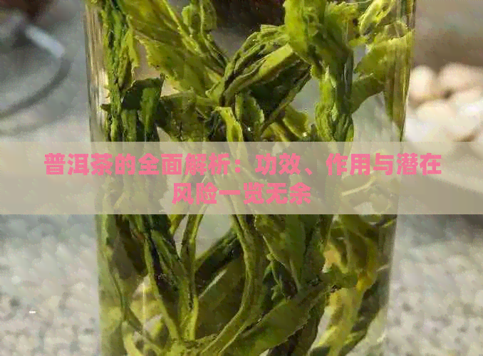 普洱茶的全面解析：功效、作用与潜在风险一览无余