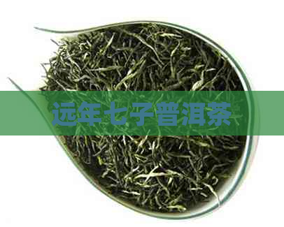 远年七子普洱茶