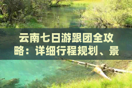 云南七日游跟团全攻略：详细行程规划、景点推荐及特色美食一网打尽