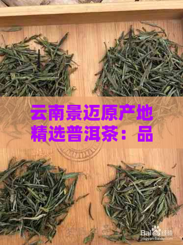 云南景迈原产地精选普洱茶：品质之选，口感独特