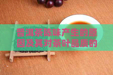 普洱茶陈味产生的原因及其对茶叶品质的影响