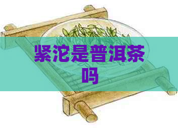 紧沱是普洱茶吗