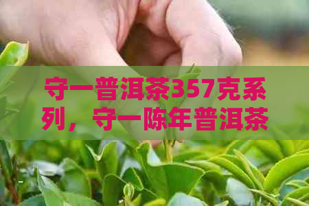 守一普洱茶357克系列，守一陈年普洱茶价格