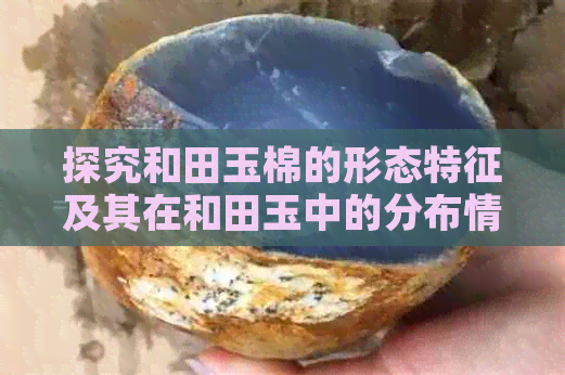 探究和田玉棉的形态特征及其在和田玉中的分布情况