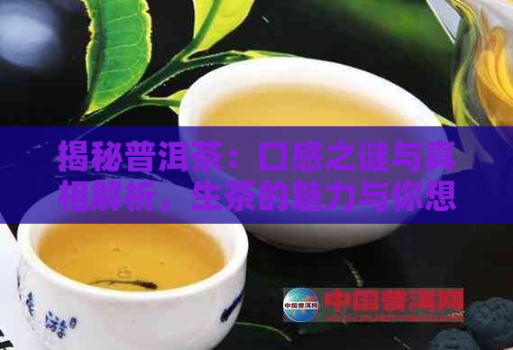 揭秘普洱茶：口感之谜与真相解析，生茶的魅力与你想象的不同