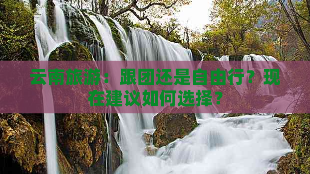 云南旅游：跟团还是自由行？现在建议如何选择？