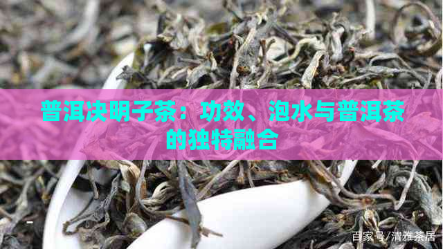 普洱决明子茶：功效、泡水与普洱茶的独特融合