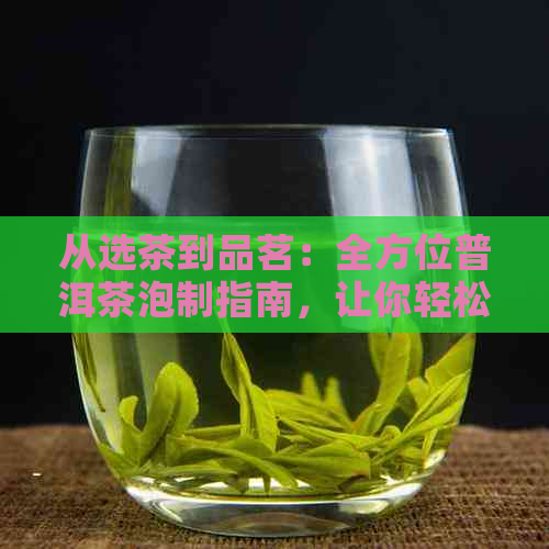 从选茶到品茗：全方位普洱茶泡制指南，让你轻松掌握泡茶技巧与口感调制方法