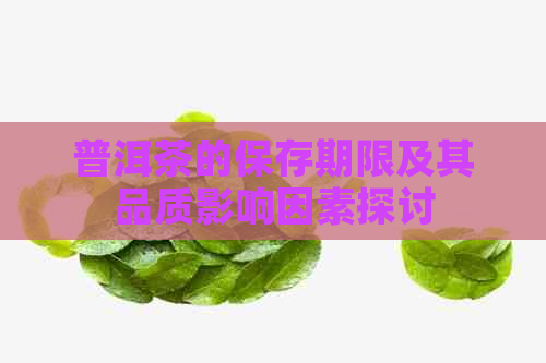 普洱茶的保存期限及其品质影响因素探讨