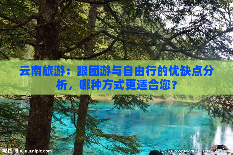 云南旅游：跟团游与自由行的优缺点分析，哪种方式更适合您？