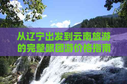 从辽宁出发到云南旅游的完整跟团游价格指南，包括行程、住宿和费用详细解析