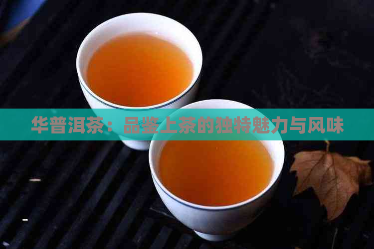 华普洱茶：品鉴上茶的独特魅力与风味