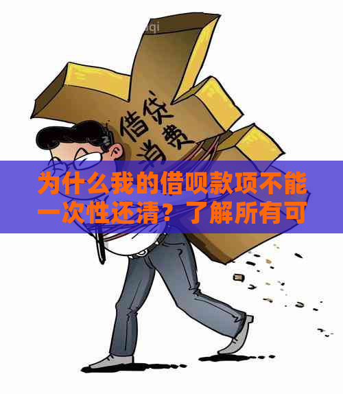 为什么我的借呗款项不能一次性还清？了解所有可能的原因和解决方案