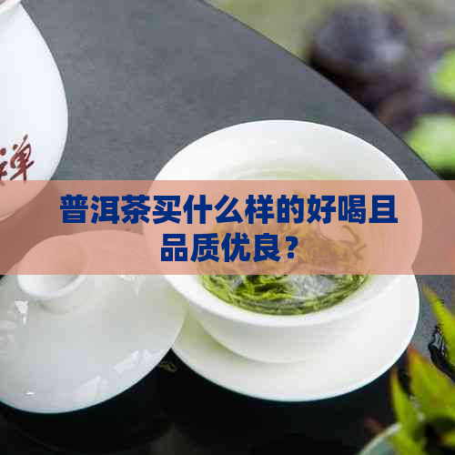 普洱茶买什么样的好喝且品质优良？