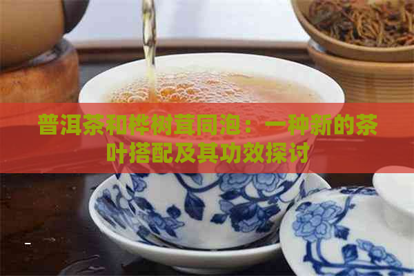 普洱茶和桦树茸同泡：一种新的茶叶搭配及其功效探讨