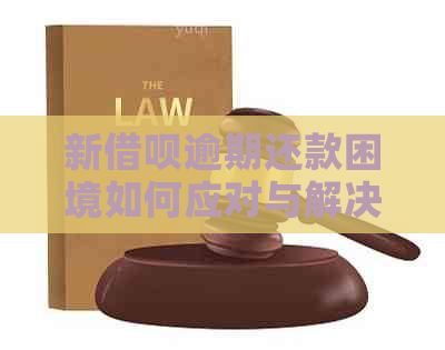 新借呗逾期还款困境如何应对与解决方法