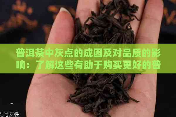 普洱茶中灰点的成因及对品质的影响：了解这些有助于购买更好的普洱茶