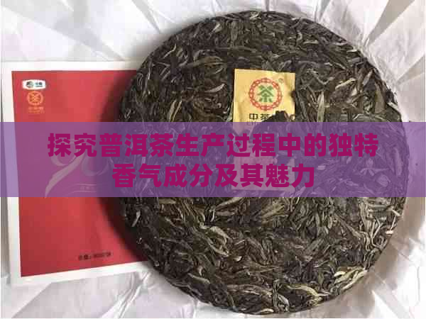 探究普洱茶生产过程中的独特香气成分及其魅力