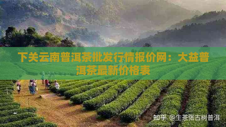 下关云南普洱茶批发行情报价网：大益普洱茶最新价格表