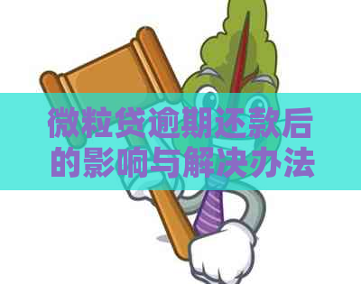 微粒贷逾期还款后的影响与解决办法，用户必看！