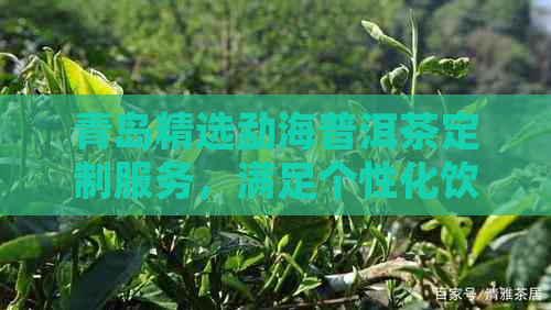 青岛精选勐海普洱茶定制服务，满足个性化饮茶需求