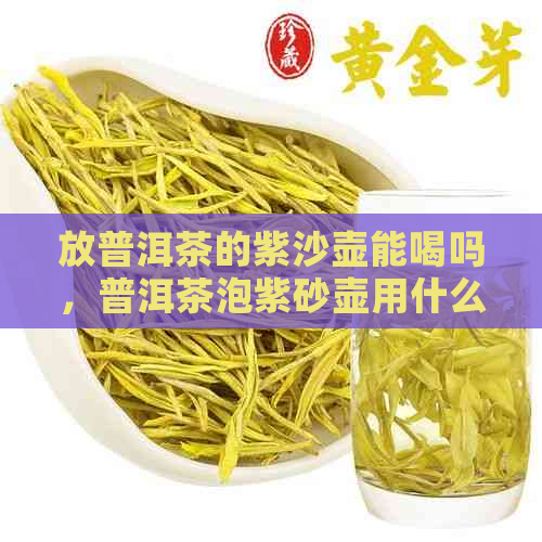 放普洱茶的紫沙壶能喝吗，普洱茶泡紫砂壶用什么器具好？