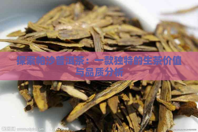 探索帕沙普洱茶：一款独特的生茶价值与品质分析