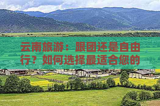 云南旅游：跟团还是自由行？如何选择最适合您的旅行方式