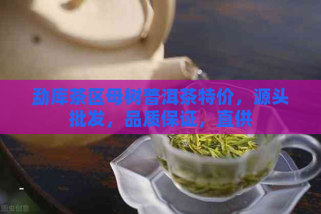 勐库茶区母树普洱茶特价，源头批发，品质保证，直供