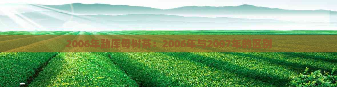 2006年勐库母树茶：2006年与2007年的区别