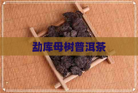 勐库母树普洱茶