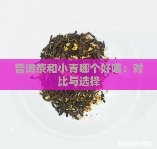 普洱茶和小青哪个好喝：对比与选择