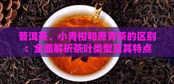 普洱茶、小青柑和蔗青茶的区别：全面解析茶叶类型及其特点