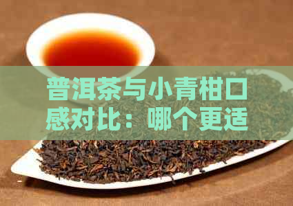 普洱茶与小青柑口感对比：哪个更适合你的口味？