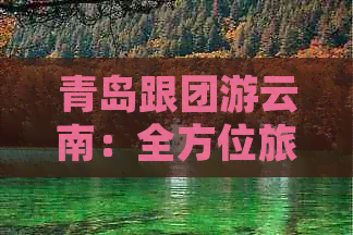 青岛跟团游云南：全方位旅游攻略，了解目的地及行程安排，玩转云南各大景点