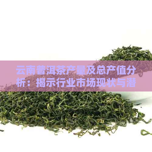 云南普洱茶产量及总产值分析：揭示行业市场现状与潜力