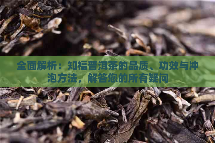 全面解析：知福普洱茶的品质、功效与冲泡方法，解答您的所有疑问