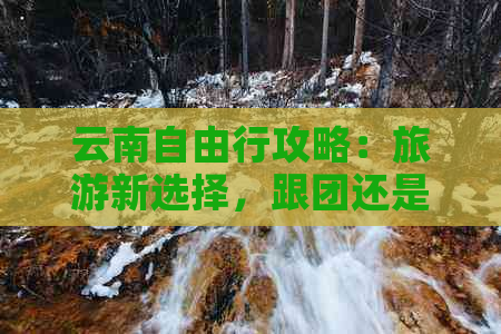 云南自由行攻略：旅游新选择，跟团还是自由行？