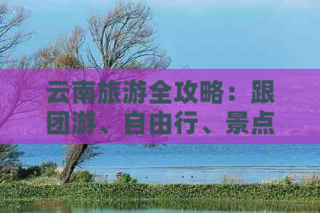 云南旅游全攻略：跟团游、自由行、景点推荐、住宿建议，让你的旅行更完美！