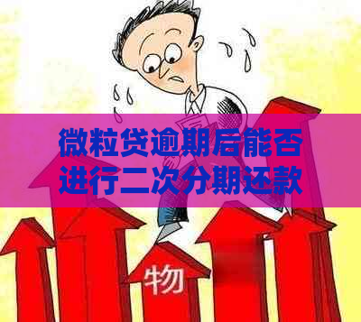 微粒贷逾期后能否进行二次分期还款？还有哪些其他解决方案？