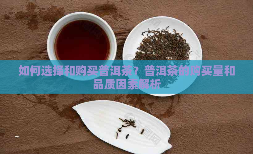 如何选择和购买普洱茶？普洱茶的购买量和品质因素解析