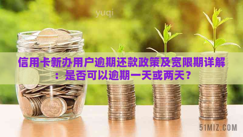 信用卡新办用户逾期还款政策及宽限期详解：是否可以逾期一天或两天？