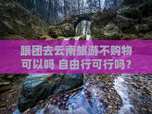 跟团去云南旅游不购物可以吗 自由行可行吗？