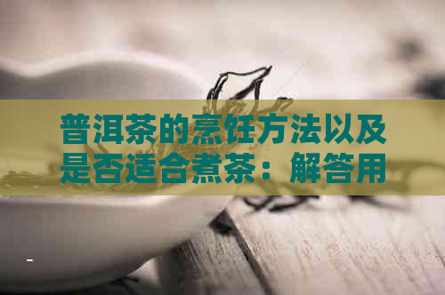 普洱茶的烹饪方法以及是否适合煮茶：解答用户关于普洱茶的全面疑问