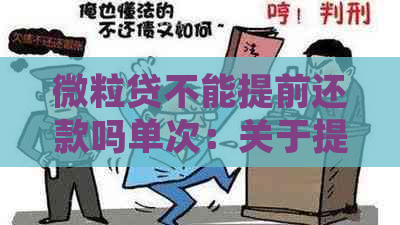 微粒贷不能提前还款吗单次：关于提前还款的详细解答