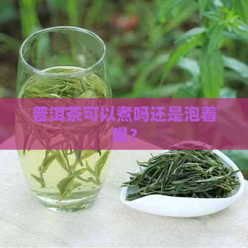 普洱茶可以煮吗还是泡着喝？