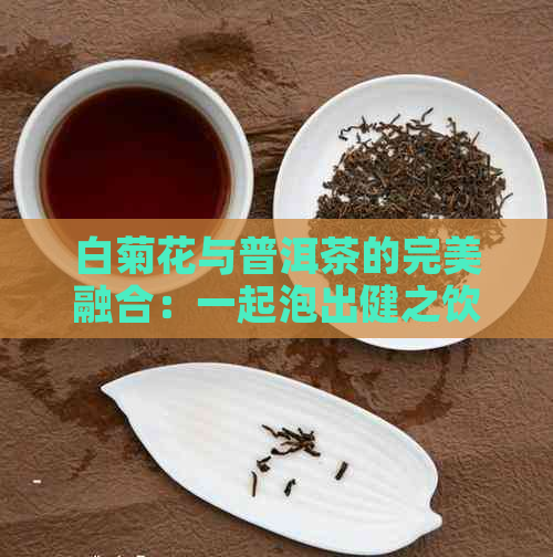 白菊花与普洱茶的完美融合：一起泡出健之饮