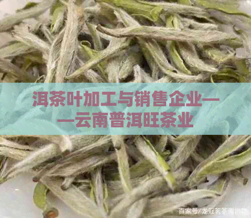 洱茶叶加工与销售企业——云南普洱旺茶业