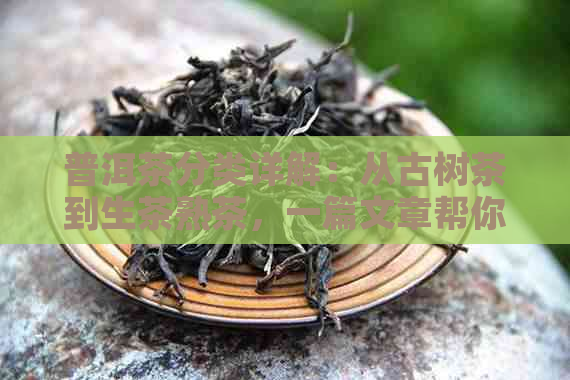 普洱茶分类详解：从古树茶到生茶熟茶，一篇文章帮你全部了解！